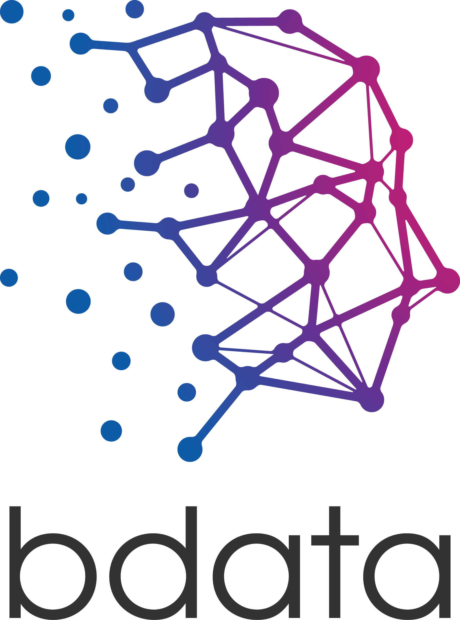 Bdata Logo